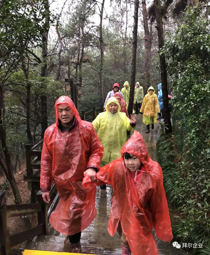 芭乐app视频下载官方地板黄山之旅
